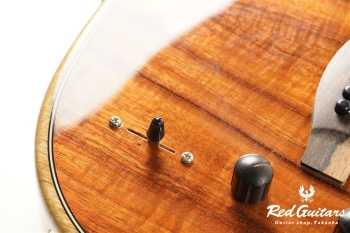 American Acoustasonic Telecaster Exotic Koa